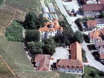 3 Badener-Wohlfühltage inmitten von Weinbergen