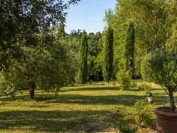 Malerisches San Gimignano & Weinverkostung - 3 Tage