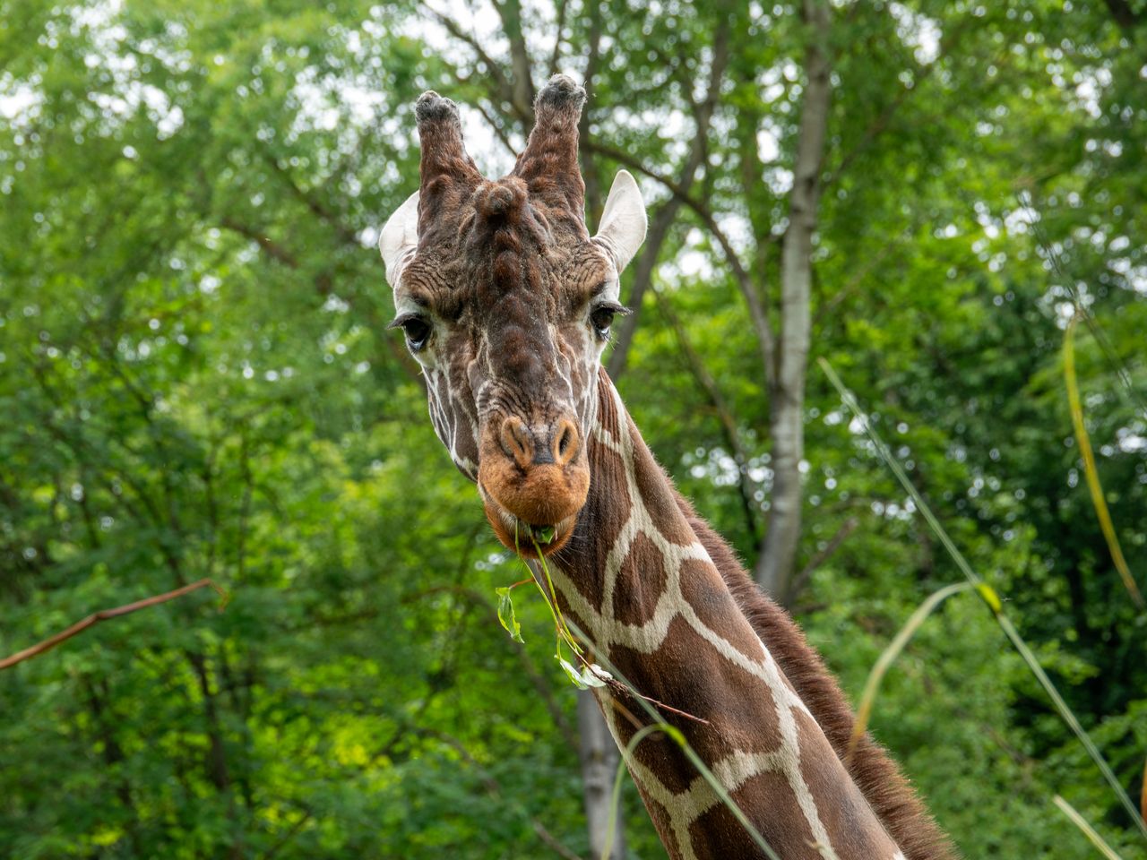 Ostereiersuche im ZOO 4 Tage