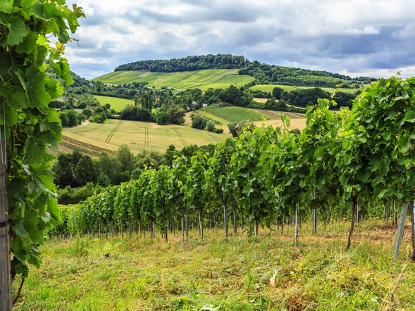 Neckar, Heilbronn & Urlaub - 3 Tage mit Frühstück im B&B Hotel Heilbronn