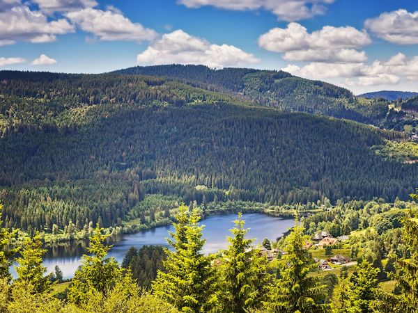 3 Tage Wanderglück im Schwarzwald in Bonndorf im Schwarzwald, Baden-Württemberg inkl. Halbpension