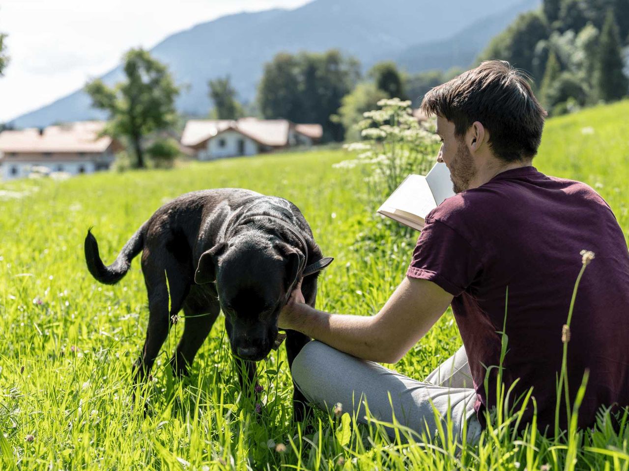 Familienkurzurlaub im veg. Bio-Resort in den Alpen.
