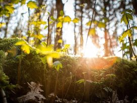 3 Tage Urlaub im schönsten Küstenort Nordhollands