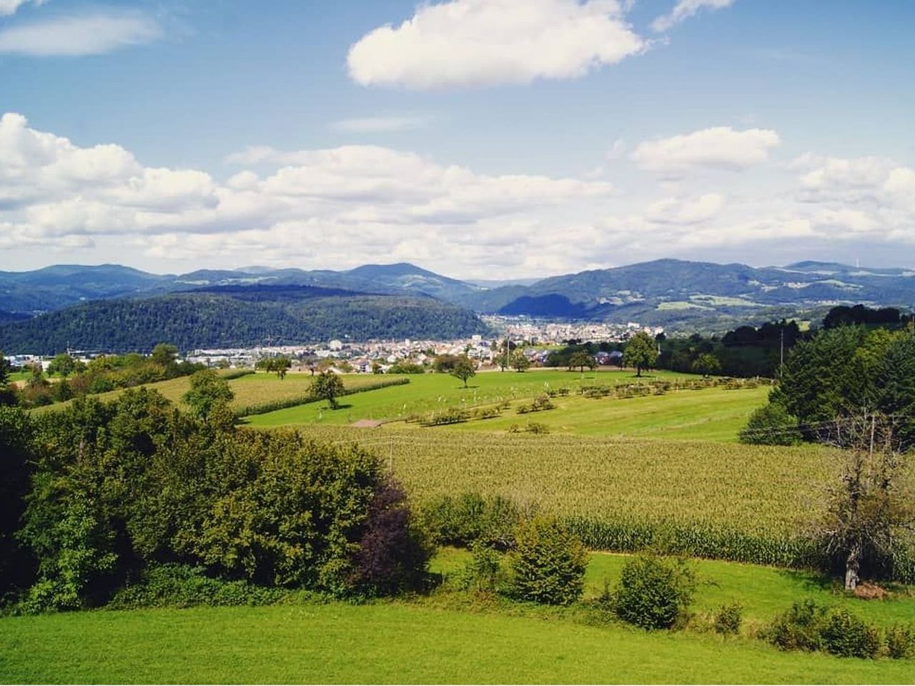 Schwarzwälder Genussreise mit 5-Gang-Menü & Wein