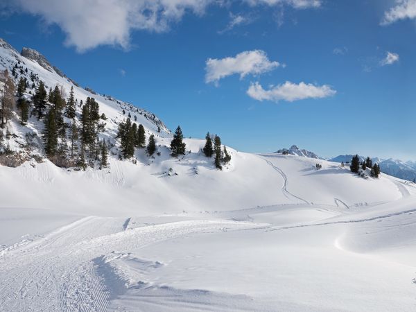 DA BLÜHT DAS LEBEN WIEDER AUF! 6 Tage / 5 Nächte in St. Leonhard im Pitztal, Tirol inkl. Halbpension