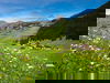 Ruhe 7 Tage mit HP im Alpenhotel Mittagspitze