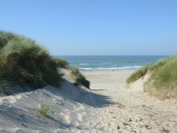 6 Tage Strandparadies Ameland Natur und endlose Weite