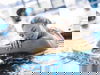 Wohlfühl-Erlebnis mit Sachsen-Therme - 5 Tage