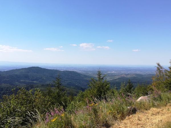 Wandern oder Radeln im Kinzigtal - 4 Tage im Schwarzwald inkl. Lunchpaket in Hausach, Baden-Württemberg inkl. Halbpension