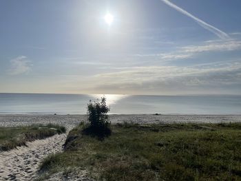 Urlaubswoche auf Rügen mit Abendbuffets 