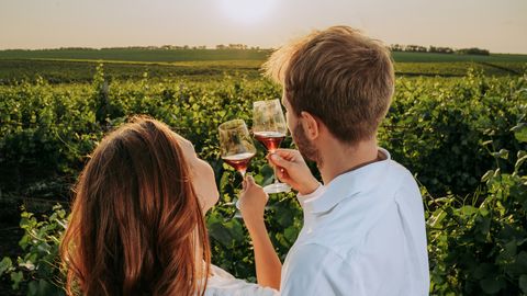 Paar am Wein trinken in den Weinbergen