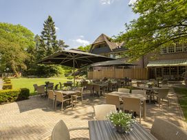4 Tage Waldzauber und Ruhe auf der Veluwe genießen