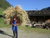 4 Tage Auszeit im Val di Sole mit Halbpension