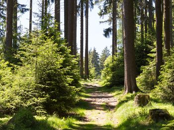 4 Tage Wandern zwischen Taunus und Wetterau