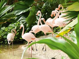 Tropical Islands mit Übernachtung