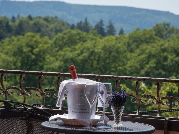 2 Tage im Schwarzwald für Champagnerliebhaber in Bad Herrenalb, Baden-Württemberg inkl. Halbpension