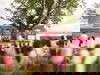 Wellness am Bodensee | 5 Tage