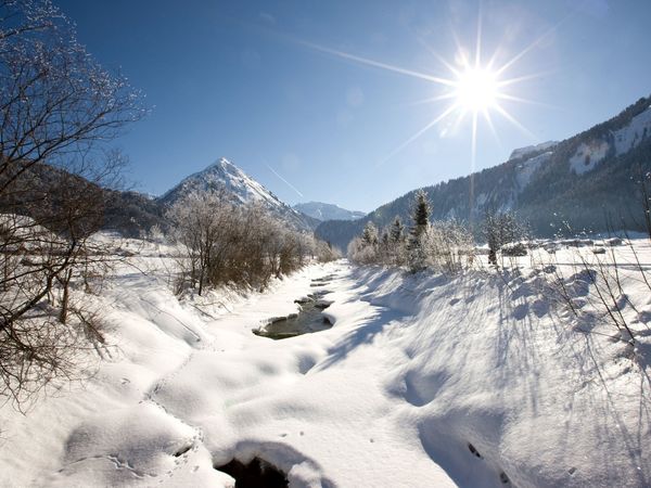 4 Tage Auszeit im Winter Wonderland im Apartment in Au (Vorarlberg)