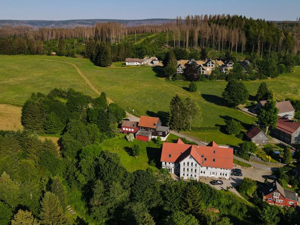 Bunter Bock - Die Harz Urlaubs-Alm