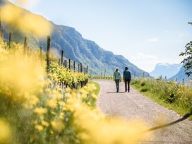 Auszeit im Südtiroler Unterland: 4 Tage Ruhe, Panorama und Südtiroler Weinlandschaft genießen