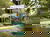BLACK DEAL  All-Inclusive - 4 Tage ab 69,-- p.P/Nacht