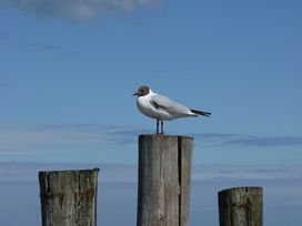 Endlich wieder Meer - 12 Tage Ferienwohnung in Zingst