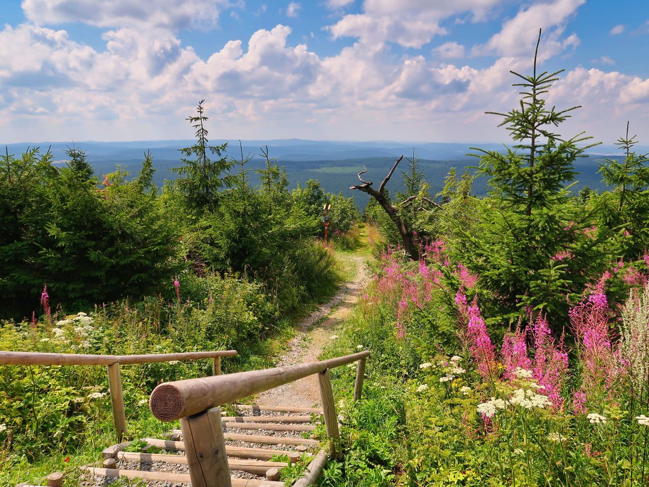 7 Tage im wunderschönen Erzgebirge mit Frühstück