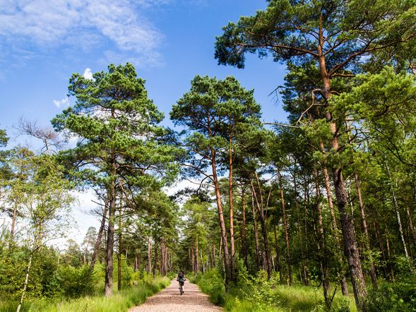 2 Tage Kurzurlaub mit Frühstück im Hotel Park Soltau