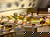 3 Tage Lindau am Bodensee