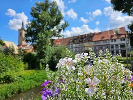 Immer wieder Sonntags: 2 Tage Erfurt genießen