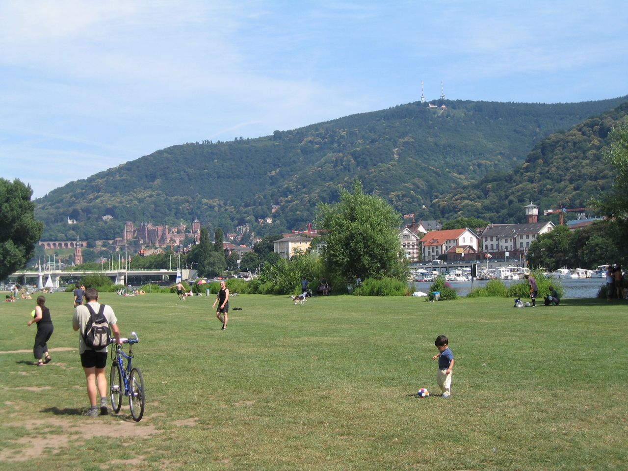 3 Tage Familienzeit in Heidelberg mit Zoo Heidelberg