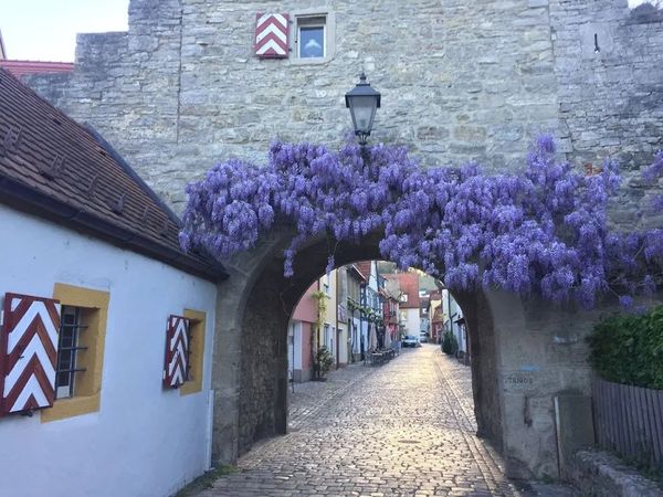 4 Tage Kurzurlaub mit Frühstück im Weinhotel Oechsle&Brix in Würzburg, Bayern inkl. Frühstück