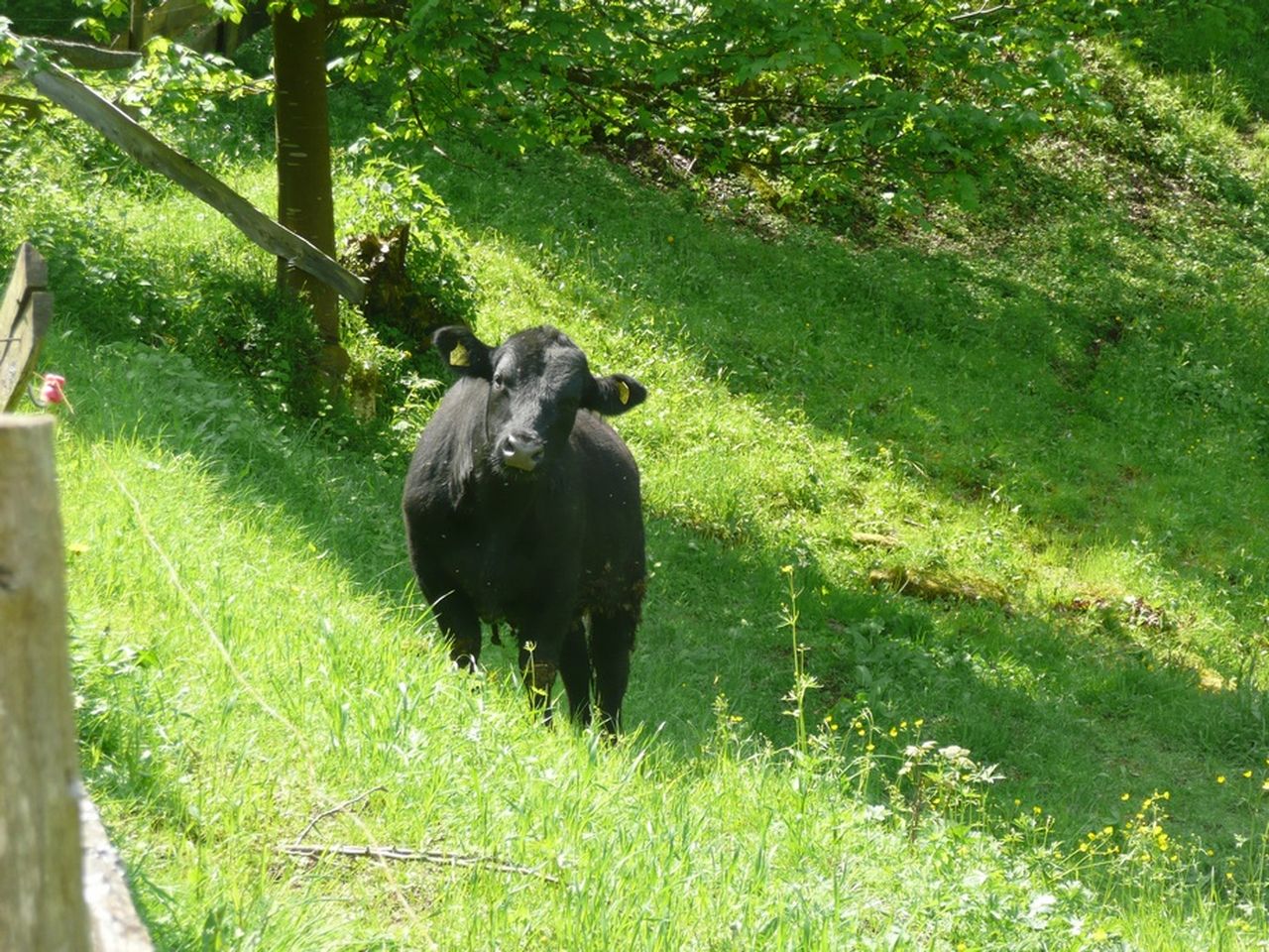 Familienbesuch