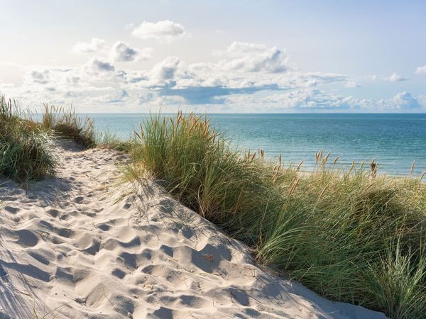 3 Tage Inselluft auf Wangerooge schnuppern /1x Dinner Haus Meeresstern, Niedersachsen inkl. Halbpension
