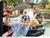 3 Tage Kurzurlaub mit HP+ im Heide Park Holiday Camp