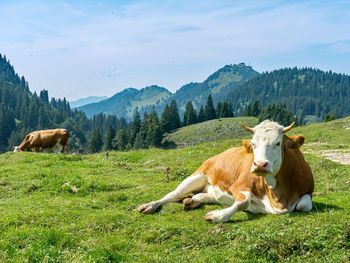 Chiemgau Deluxe Romantik - 3 Tage mit Halbpension