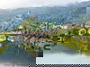 SILVESTER AN DER MOSEL