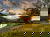 Allgäu Skyline Park mit Eintritt und Hotel