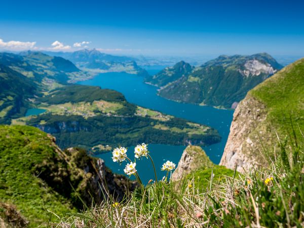 Ciao Lago Maggiore – 9 Tage mit HP in Ispra Halbpension