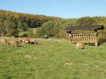 Weihnachten 2025 im Teutoburger Wald (23.-27.12.2025)