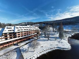 Erholung pur - 3 Tage am Titisee mit HP