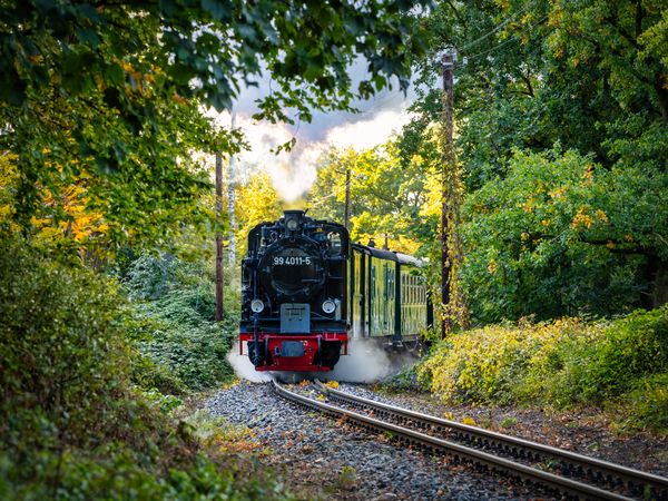 4 Tage Ostern in Sellin auf Rügen in Ostseebad Sellin, Mecklenburg-Vorpommern inkl. Halbpension