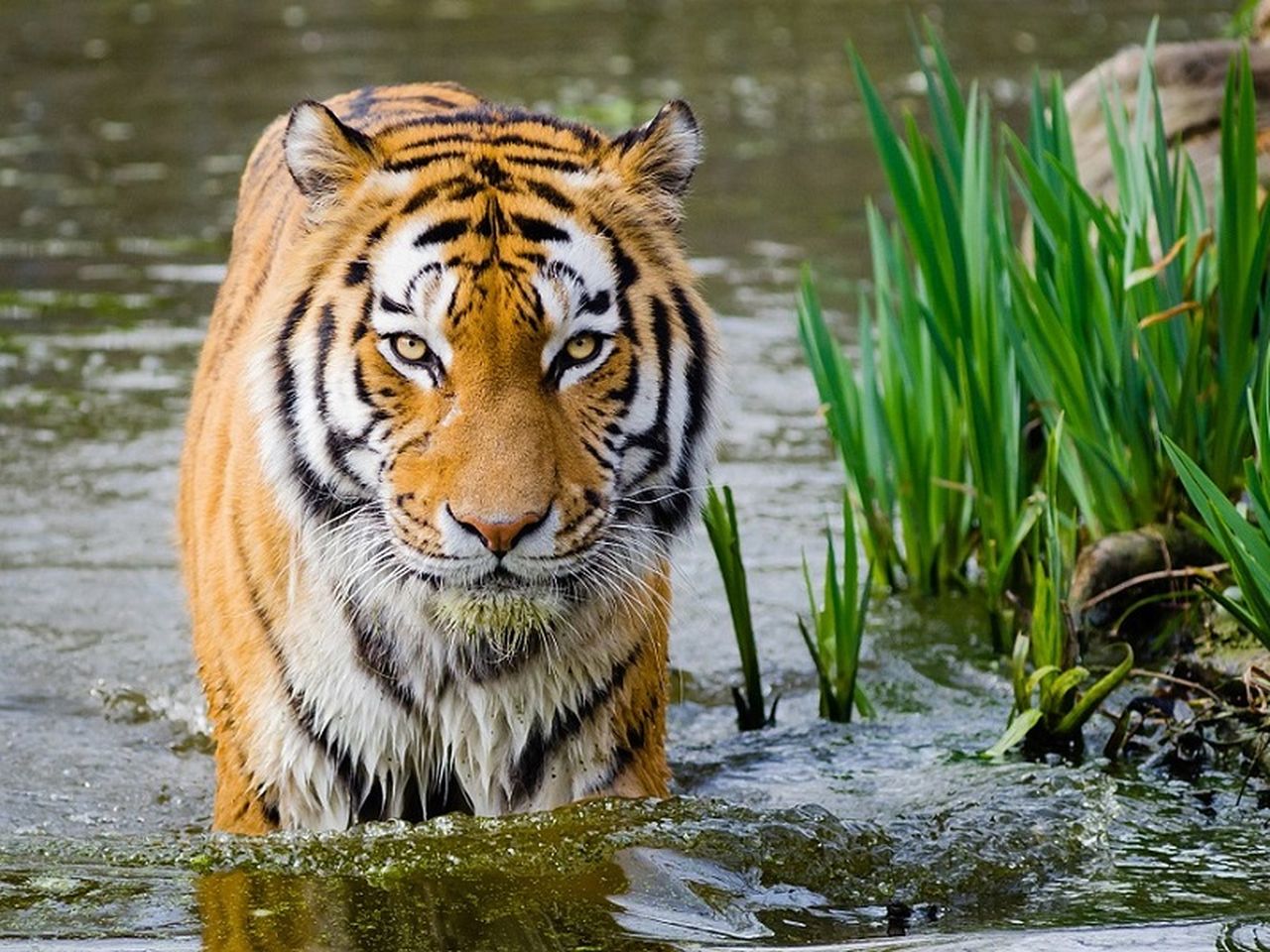 LOGINN & enjoy @ Zoo Leipzig! 2 Tage Tierischer Spaß