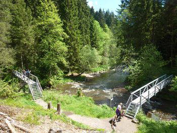 Weihnachtszeit im Schwarzwaldhof