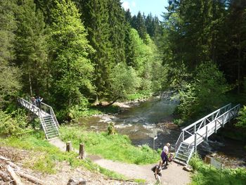 Bild 19 von 20