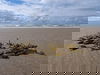 3 Tage Nordseeurlaub Callantsoog – Strand & Erholung