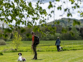 Wandern & Erholung im Harz: Mythen & Legenden, 5 Tage