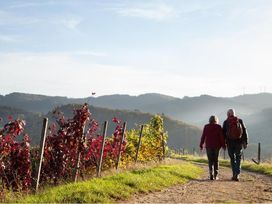 3 Romantische Tage im Schwarzwald mit 5-Gang-Menü