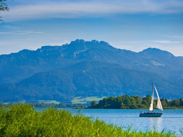 Wau! Auf 4 Pfoten unterwegs im Chiemgau in Frasdorf, Bayern inkl. Halbpension