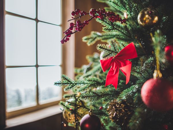 6 Tage Weihnachten in Bad Bocklet, Bayern inkl. Halbpension